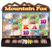 79h -  - 79h plataforma